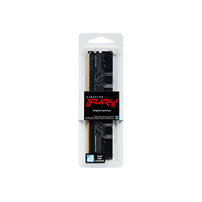 Kingston FURY Renegade Pro DDR5 RDIMM Memory